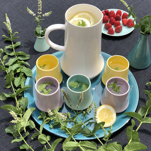 Form 594548 - Becher 485