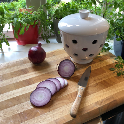 Olla para cebollas 549DS | Decoracion 001