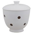 Olla para cebollas 549DS | Decoracion 000