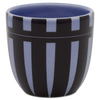 Vaso 573 | Decoracion 613