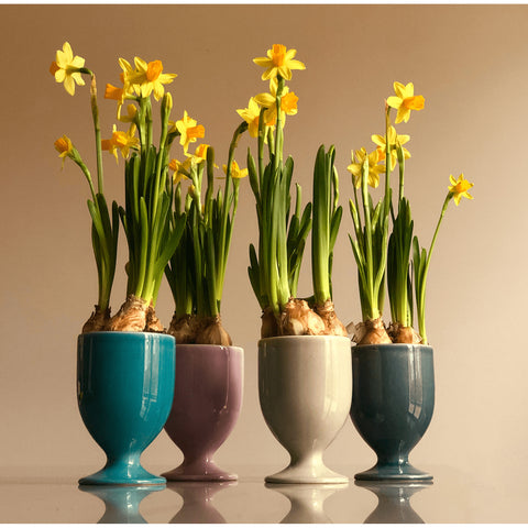 Vaso 597 | Decoracion 053