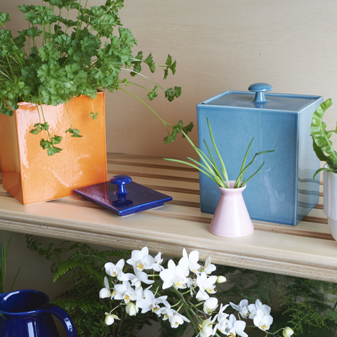 Caja 870 | Decoracion 055