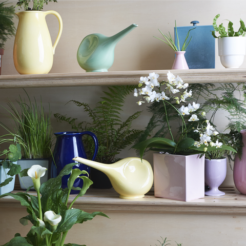 Caja 870 | Decoracion 137