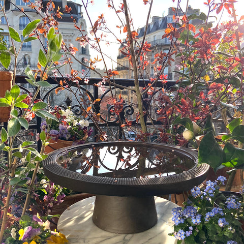 Pequeña bañera para pájaros | Decoracion 999