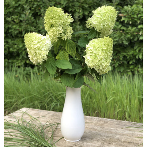Florero 722C | Decoracion 053