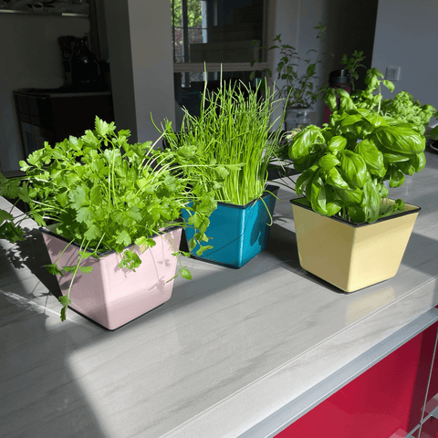 Plant pot HB 757 | Decor 050