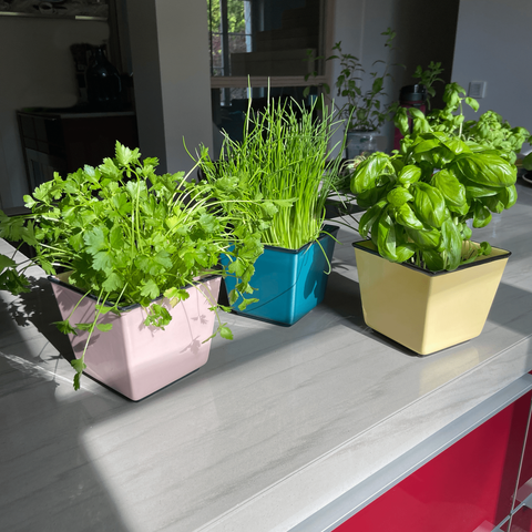 Macetero 757 | Decoracion 053-1