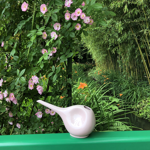 Regadera 766 | Decoracion 055