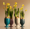 Set de copas de 4 piezas 597 | Decoracion 999