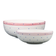 Set de cuencos de 2 piezas 503 | Decoracion 043