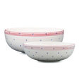 Set de cuencos de 2 piezas 503 | Decoracion 043