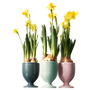 Set de copas de 3 piezas 597 | Decoracion 999