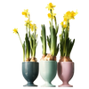 Set de copas de 3 piezas 597 | Decoracion 999